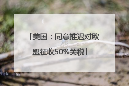 美国：同意推迟对欧盟征收50%关税