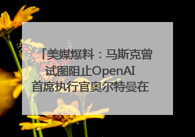 美媒爆料：马斯克曾试图阻止OpenAI首席执行官奥尔特曼在中东的AI交易