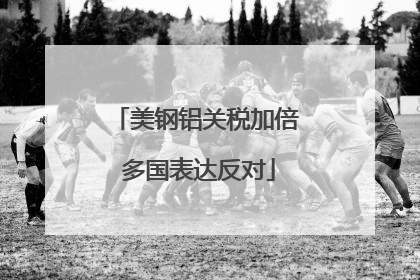 美钢铝关税加倍 多国表达反对