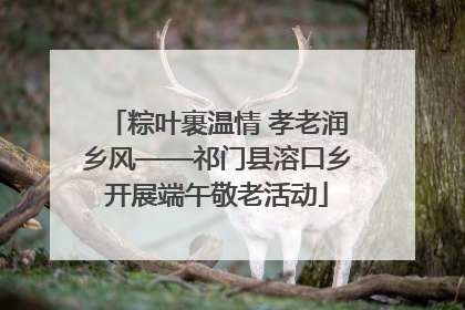 粽叶裹温情 孝老润乡风——祁门县溶口乡开展端午敬老活动