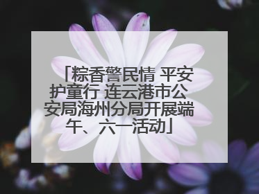 粽香警民情 平安护童行 连云港市公安局海州分局开展端午、六一活动