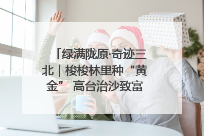 绿满陇原·奇迹三北｜梭梭林里种“黄金” 高台治沙致富很“从容”