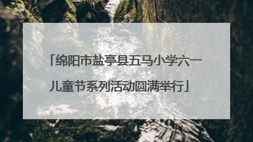 绵阳市盐亭县五马小学六一儿童节系列活动圆满举行