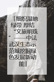 细织湿地绿带 厚结“文旅明珠”——中法武汉生态示范城挖掘绿色发展新动能