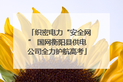 织密电力“安全网” 国网衡阳县供电公司全力护航高考