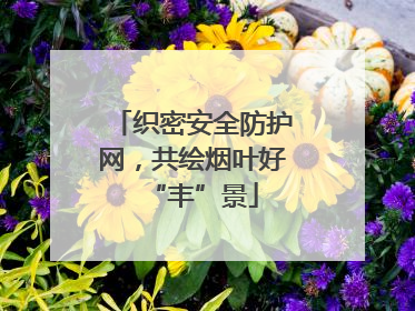 织密安全防护网，共绘烟叶好“丰”景