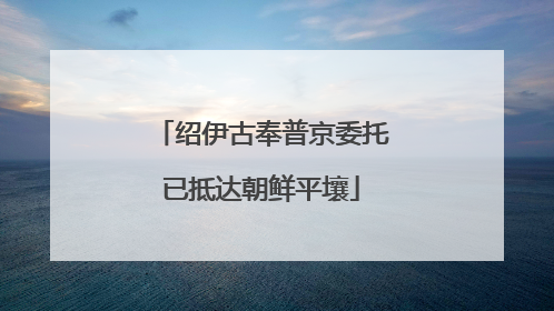 绍伊古奉普京委托已抵达朝鲜平壤