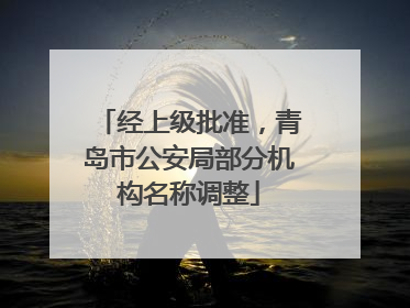 经上级批准，青岛市公安局部分机构名称调整