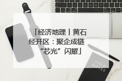 经济地理丨黄石经开区：聚企成链“芯光”闪耀