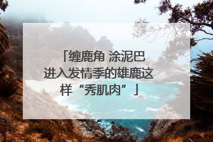缠鹿角 涂泥巴 进入发情季的雄鹿这样“秀肌肉”