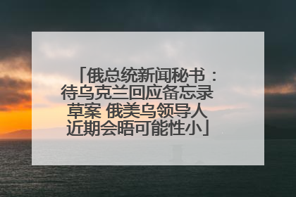 俄总统新闻秘书：待乌克兰回应备忘录草案 俄美乌领导人近期会晤可能性小