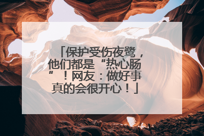 保护受伤夜鹭，他们都是“热心肠”！网友：做好事真的会很开心！