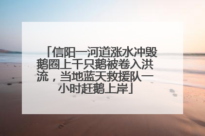 信阳一河道涨水冲毁鹅圈上千只鹅被卷入洪流，当地蓝天救援队一小时赶鹅上岸