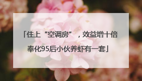 住上“空调房”，效益增十倍 奉化95后小伙养虾有一套
