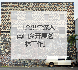 余洪雷深入南山乡开展巡林工作