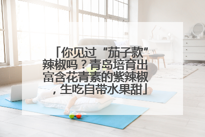 你见过“茄子款”辣椒吗？青岛培育出富含花青素的紫辣椒，生吃自带水果甜