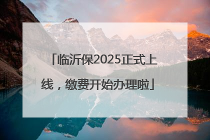 临沂保2025正式上线，缴费开始办理啦