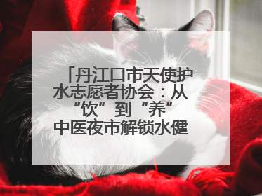 丹江口市天使护水志愿者协会：从“饮”到“养” 中医夜市解锁水健康新密码