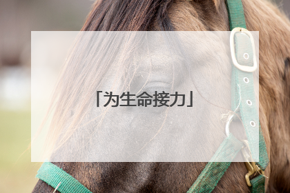 为生命接力