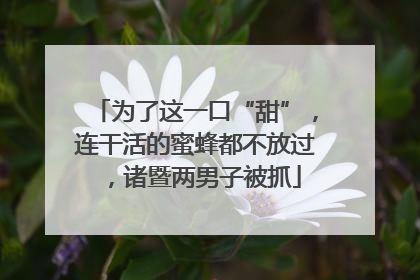 为了这一口“甜”，连干活的蜜蜂都不放过，诸暨两男子被抓