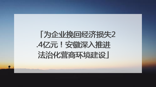 为企业挽回经济损失2.4亿元！安徽深入推进法治化营商环境建设