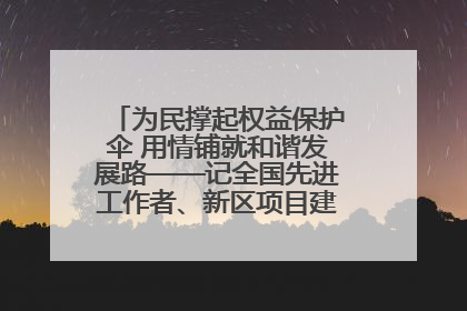 为民撑起权益保护伞 用情铺就和谐发展路——记全国先进工作者、新区项目建设中心干部卢小勇