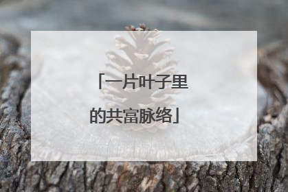 一片叶子里的共富脉络