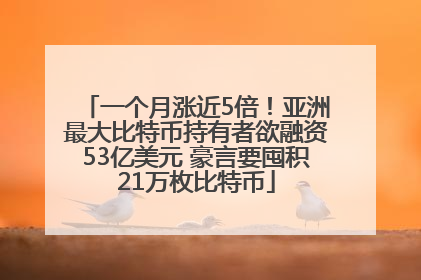 一个月涨近5倍！亚洲最大比特币持有者欲融资53亿美元 豪言要囤积21万枚比特币