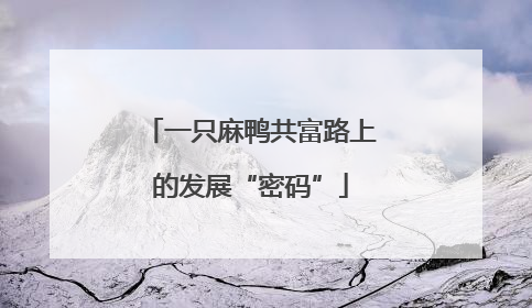 一只麻鸭共富路上的发展“密码”
