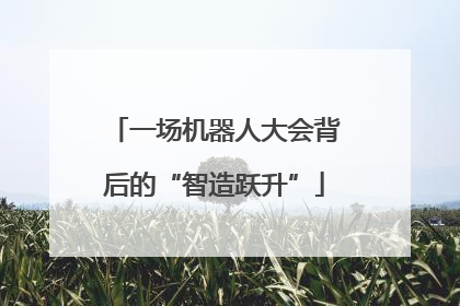 一场机器人大会背后的“智造跃升”