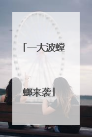 一大波螳螂来袭