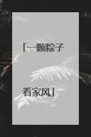 一颗粽子看家风