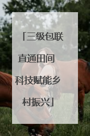 三级包联直通田间 科技赋能乡村振兴