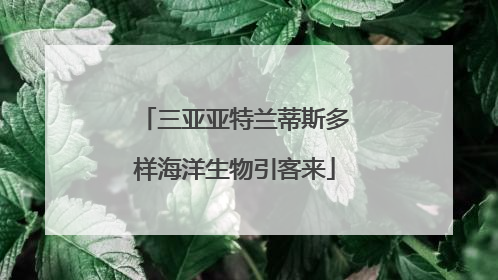 三亚亚特兰蒂斯多样海洋生物引客来