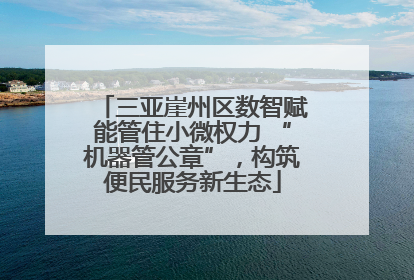 三亚崖州区数智赋能管住小微权力 “机器管公章”，构筑便民服务新生态