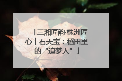 三湘匠韵·株洲匠心丨石天宝：稻田里的“追梦人”