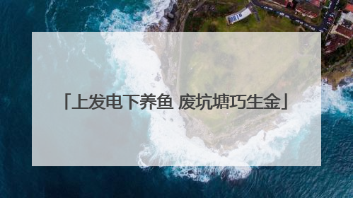 上发电下养鱼 废坑塘巧生金