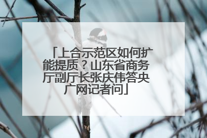 上合示范区如何扩能提质？山东省商务厅副厅长张庆伟答央广网记者问