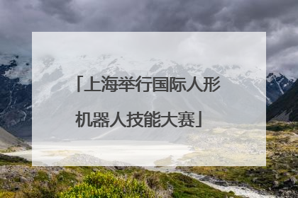 上海举行国际人形机器人技能大赛