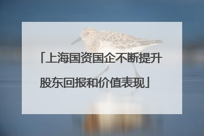 上海国资国企不断提升股东回报和价值表现