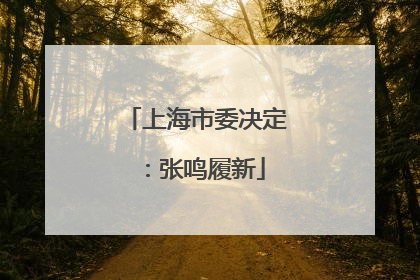 上海市委决定：张鸣履新