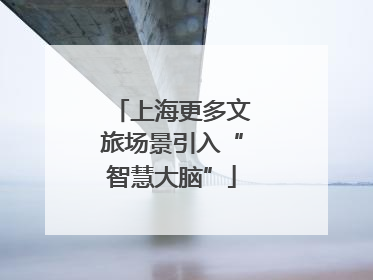 上海更多文旅场景引入“智慧大脑”