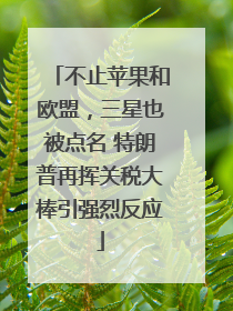 不止苹果和欧盟，三星也被点名 特朗普再挥关税大棒引强烈反应