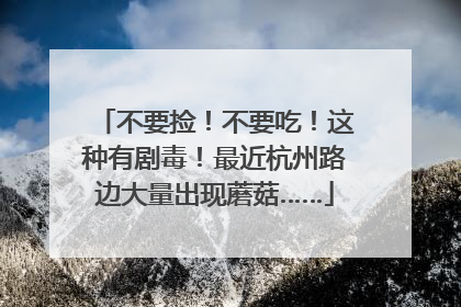 不要捡！不要吃！这种有剧毒！最近杭州路边大量出现蘑菇……