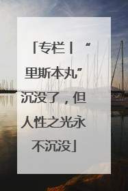 专栏丨“里斯本丸”沉没了，但人性之光永不沉没