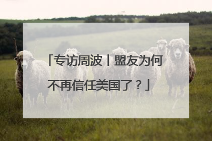 专访周波丨盟友为何不再信任美国了？