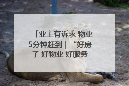业主有诉求 物业5分钟赶到｜“好房子 好物业 好服务”系列报道④