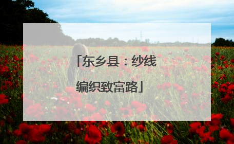 东乡县：纱线编织致富路
