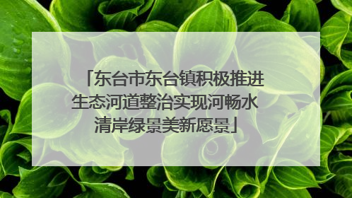 东台市东台镇积极推进生态河道整治实现河畅水清岸绿景美新愿景