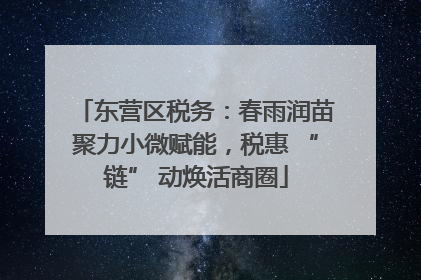 东营区税务：春雨润苗聚力小微赋能，税惠 “链” 动焕活商圈